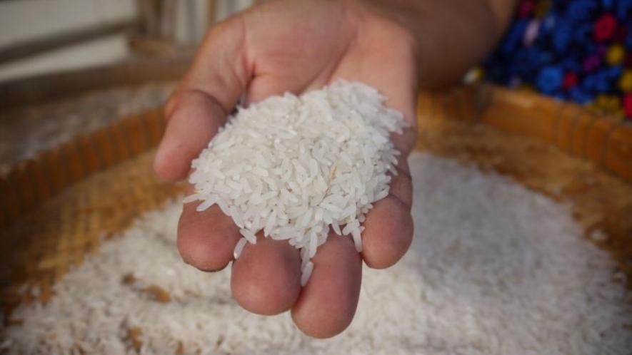 rice