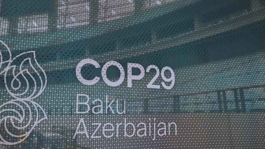 Cop 29