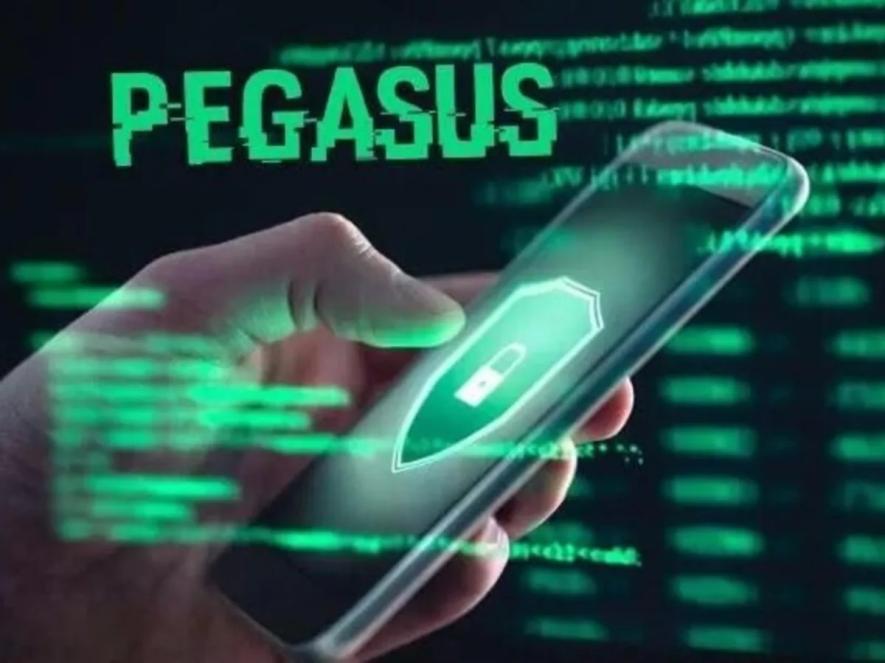 Pegasus america