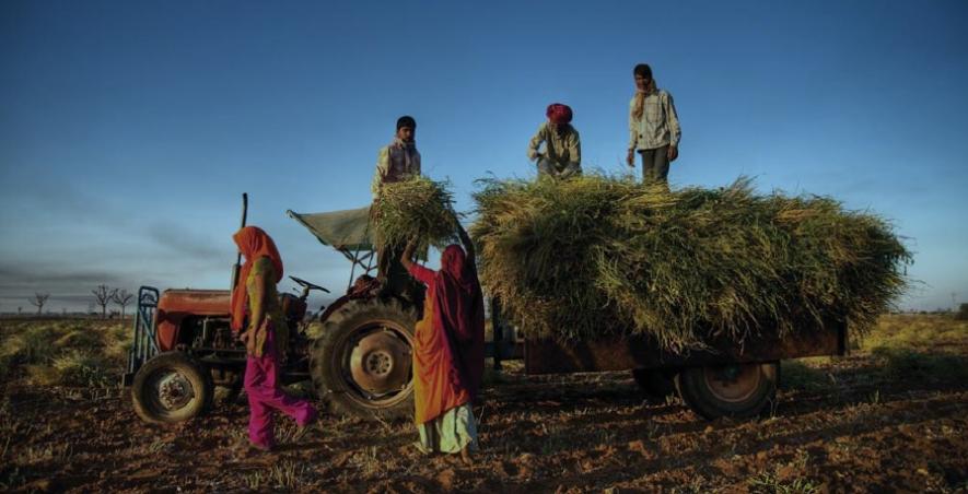Farmer