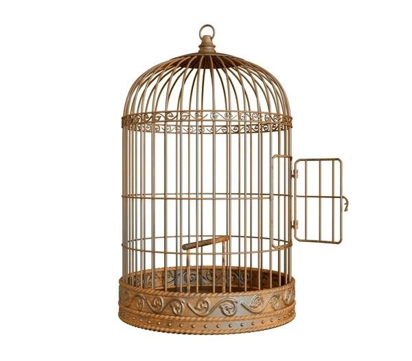 cage
