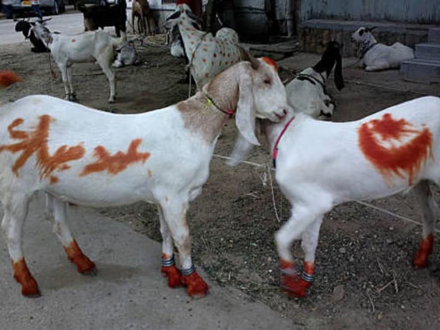 BAKRID