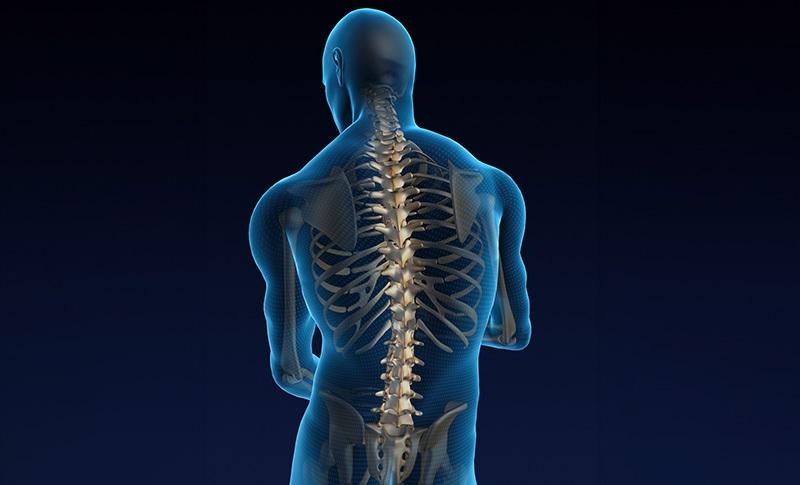 Backbone