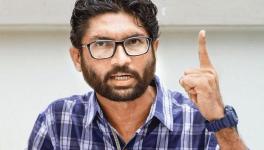 ज़मीनी आन्दोलन एकमात्र रास्ता: जिग्नेश मेवानी