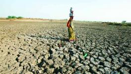 gujrat model 