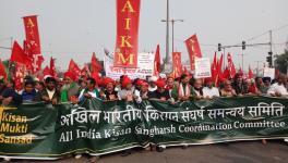 kisan sansad 