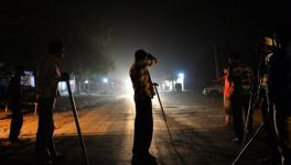 Cow Vigilante