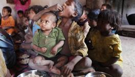 malnutrition 
