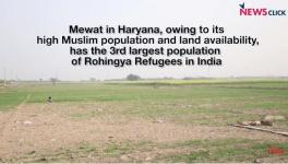 mewat 