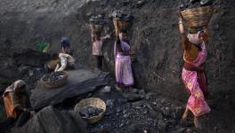 coal 