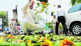 farmers protest