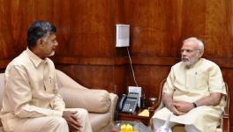 NAIDU 