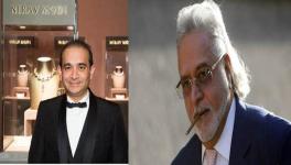 nirav modi 