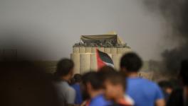 palestine