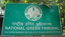 NGT