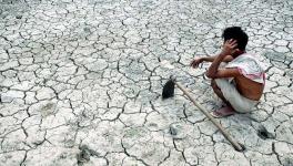 farmers crises 