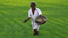 farmers