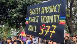 artical 377