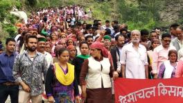 हिमाचल दूध किसान 