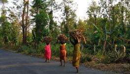 Tribal Ministry