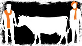 gau rakshak