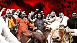 गौ रक्षक 