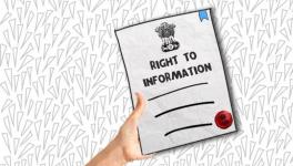 RTI activists' murders