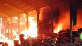 bijnor paper and chemical mill