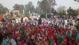 हरियाणा रोडवेज हड़ताल 