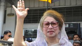 KHALIDA ZIYA