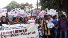 Najeeb ahmed 