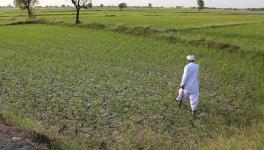 सांकेतिक तस्वीर