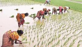 chattisgarh 