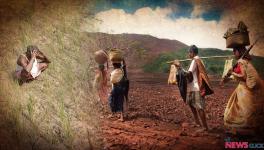 jharkhand farmers crisis 