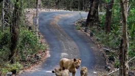 सांकेतिक तस्वीर