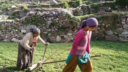 सांकेतिक तस्वीर