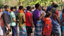 voting 