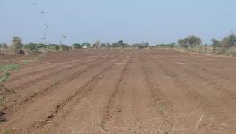 Surendranagar