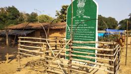 सांकेतिक तस्वीर।