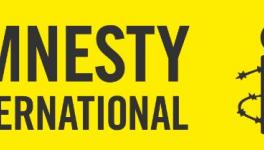 Amnesty