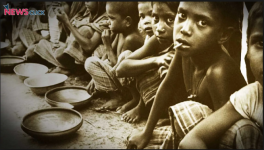 malnutrition 