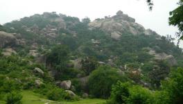 Mmountain