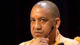 Yogi