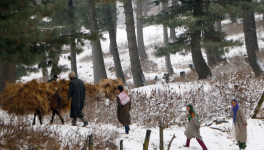 jammu and kashmir