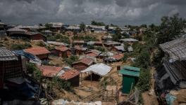 rohingya 