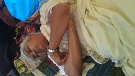 medha
