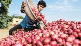 onion farmer