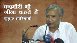 tarigami on kashmir
