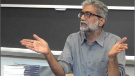 gautam navlakha