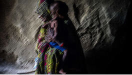 global hunger index
